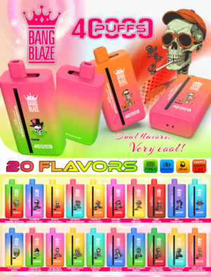 BANGBLAZE40000 12FLAVORS DSK041 《BB40》