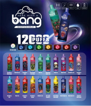 BANG 12K Puffs Disposable Vape